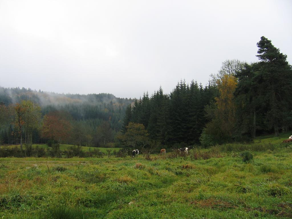 La Ferme Des Genets Medeyrolles Exterior foto