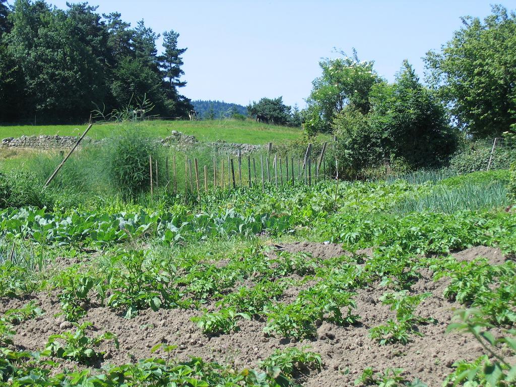 La Ferme Des Genets Medeyrolles Exterior foto